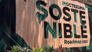 Cementos Moctezuma: Pioneering Sustainability and Social Responsibility in the Cement Industry